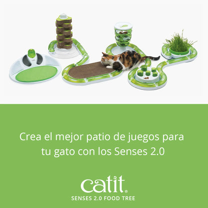 juguete inteligencia gatos con snacks