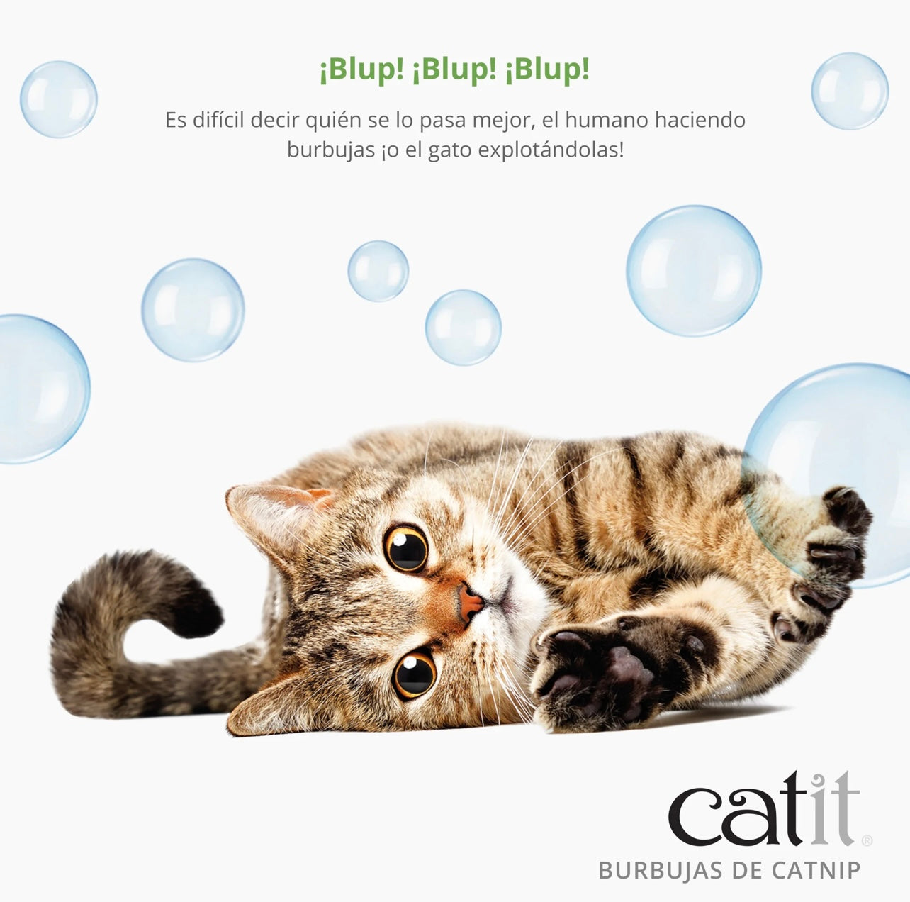 juguete interactivo para gatos burbujas catnip