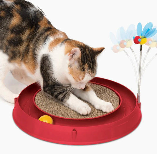 juguete para gatos catit play circuit ball