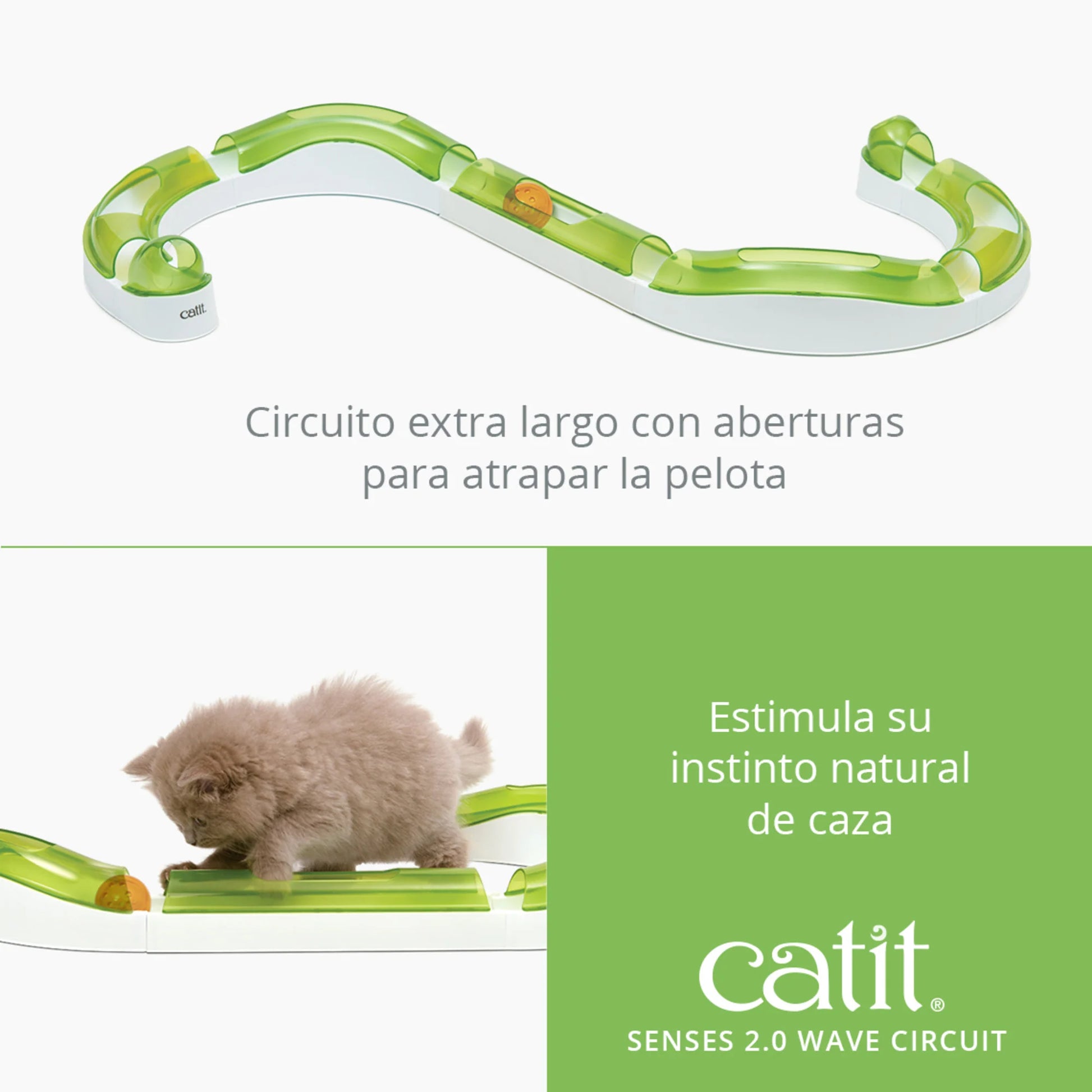 juguete para gatos con pista curva y bola