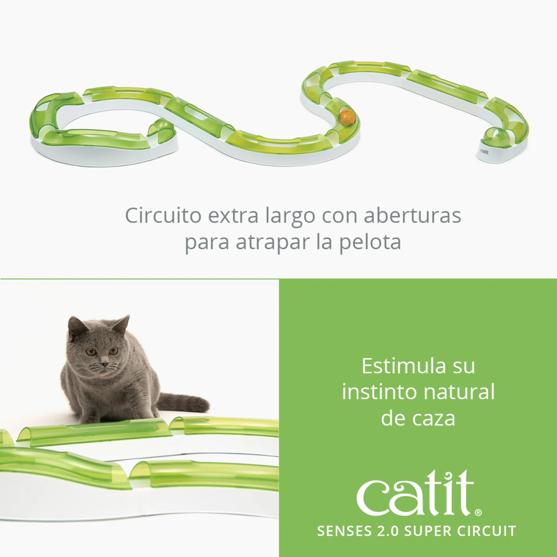 juguete para gatos con pista larga y bola