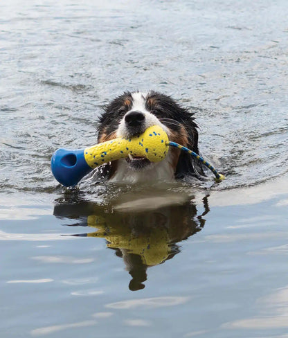 juguete perro resistente flotante lanzamiento agua