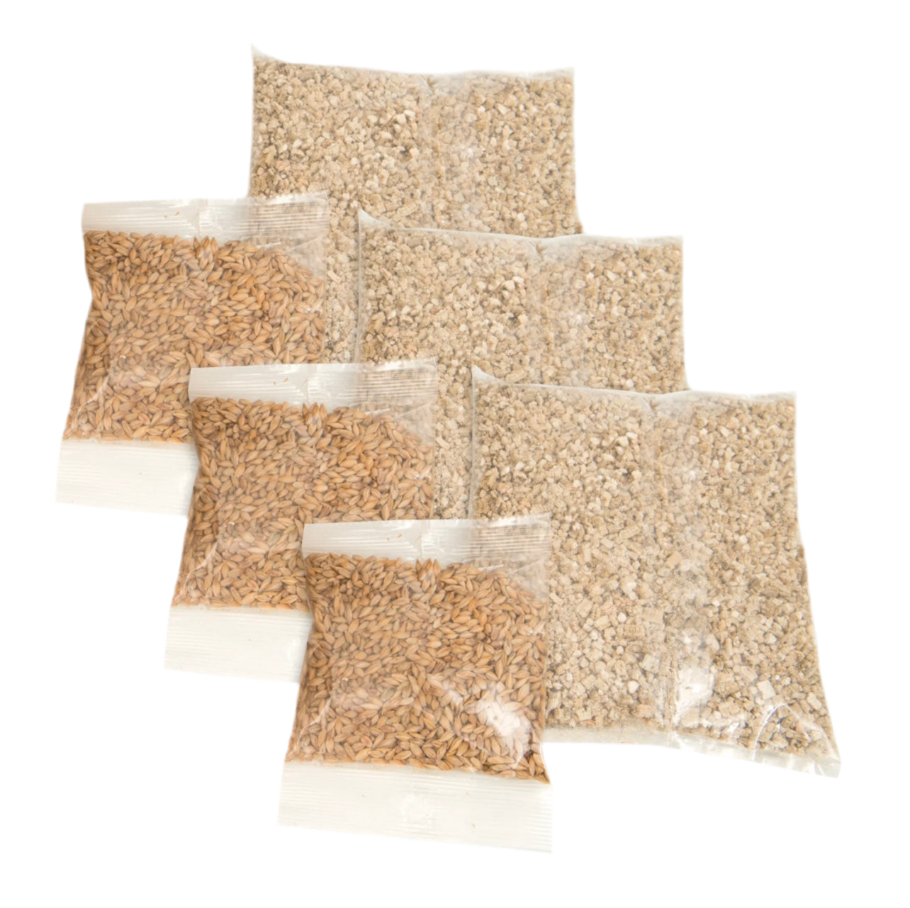 kit cultivo hierba para gatos con vermiculita
