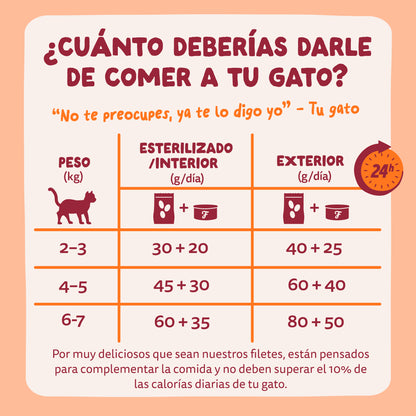 lata comida gatos edgard cooper pollo
