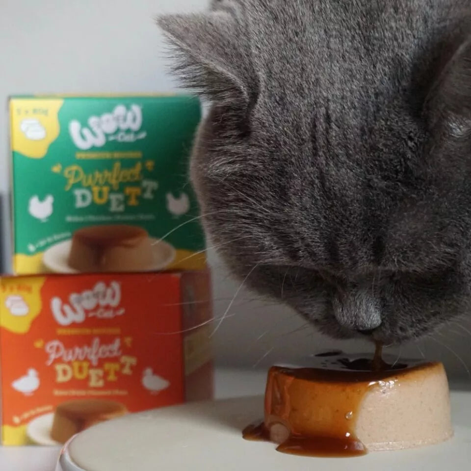 lata de comida humeda para gatos mousse de pato