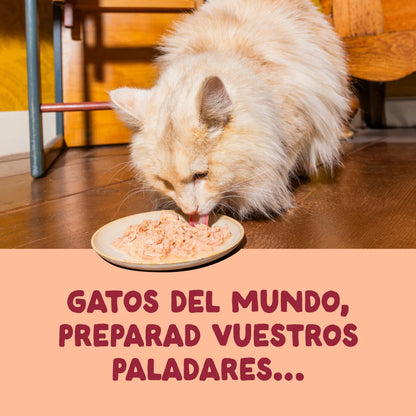 lata gatos filetes pollo caldo natural
