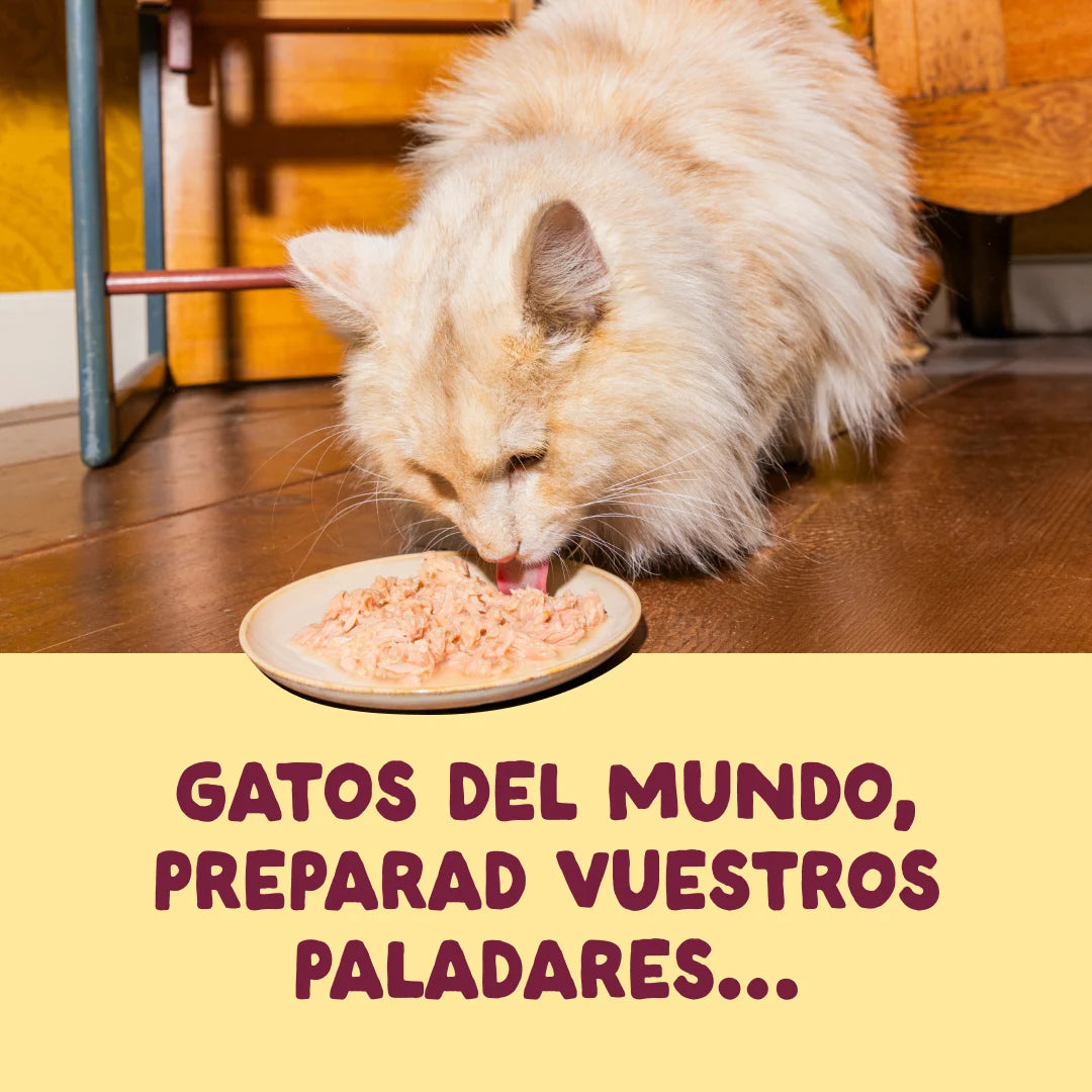 lata gatos filetes pollo pavo edgard cooper
