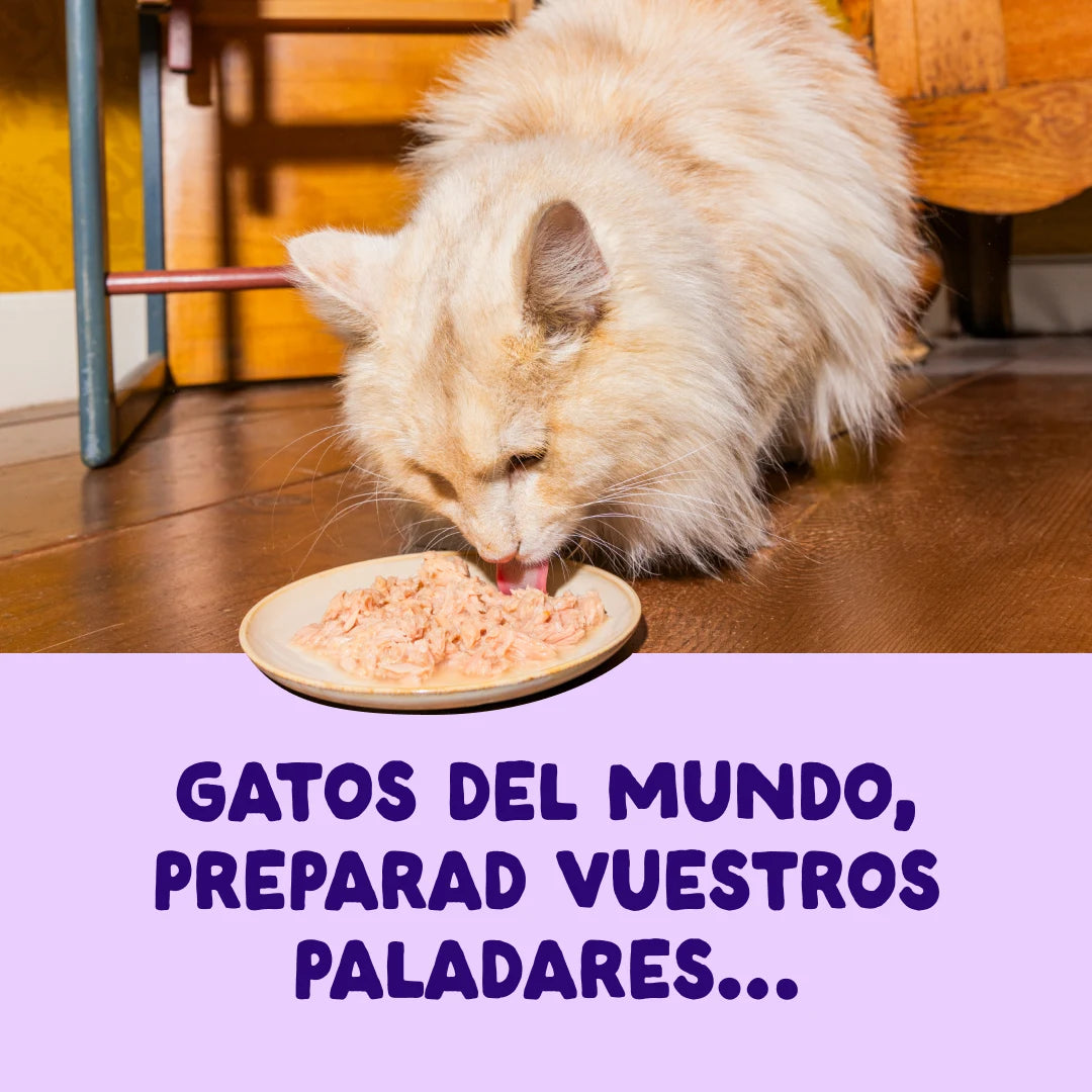 lata gatos pescado natural sin cereales

