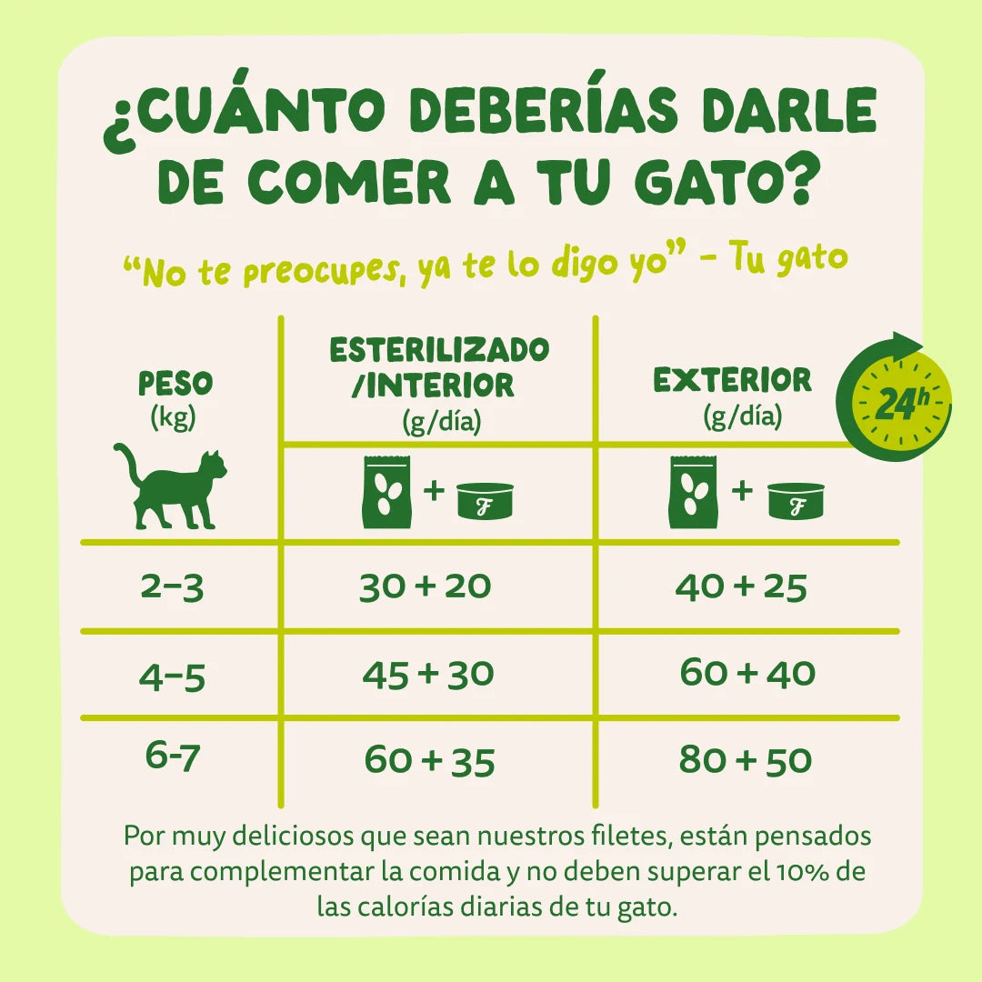 latas gatos edgard cooper caballa
