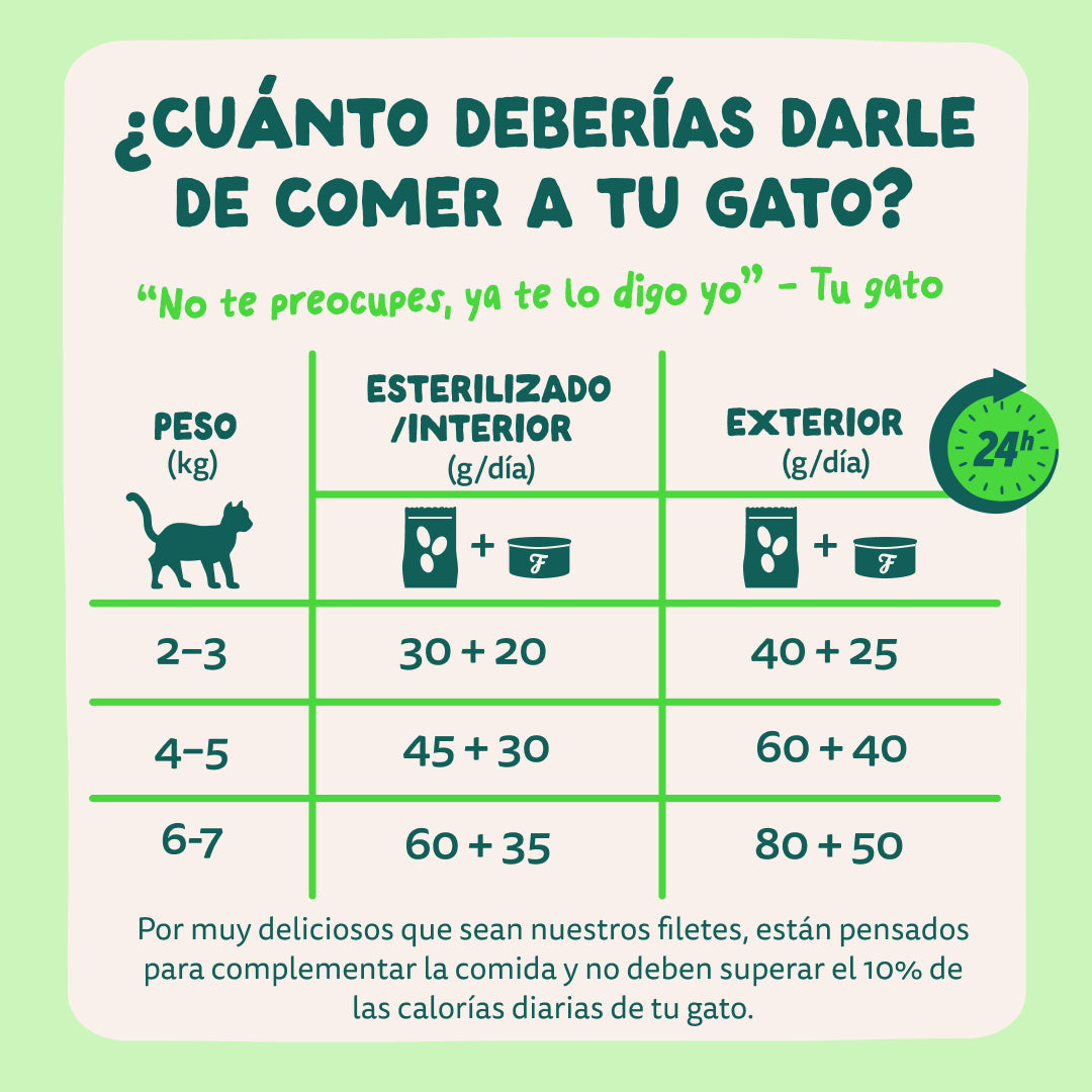 latas gatos edgard cooper pescado
