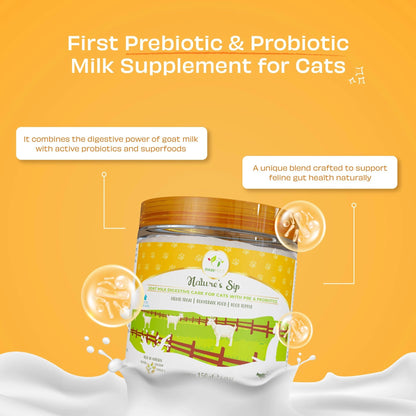 leche cabra gatos con calabaza banana