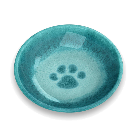 Plato de melamina antideslizante para gatos y perros pequeños en color verde agua con huella central, resistente, higiénico y apto para lavavajillas, capacidad 200 ml.