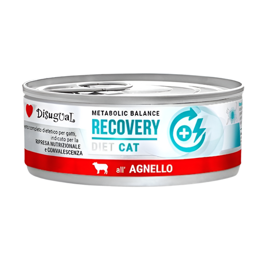 pack 12 latas comida gatos recovery cordero