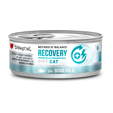 pack 12 latas comida gatos recovery lenguado