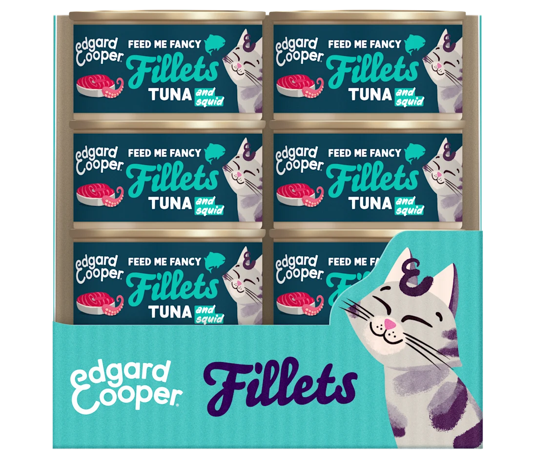 pack 24 latas filetes atun calamar gatos edgard cooper