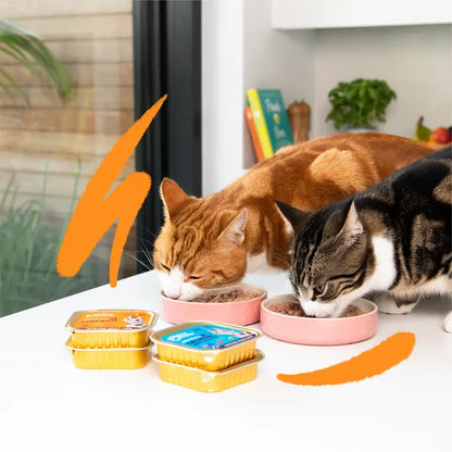 pate gatos pollo salmon edgard cooper 85g