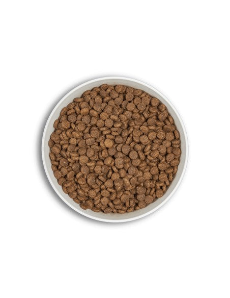 pienso gatos sin cereales pato salmon textura
