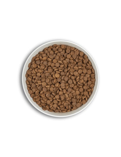 pienso gatos sin cereales pato salmon textura