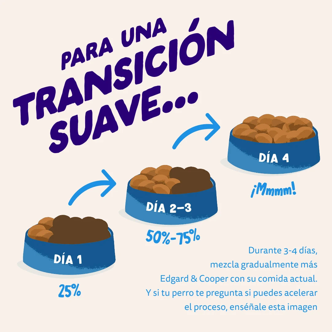 pienso perro omega 3 piel pelo salmon