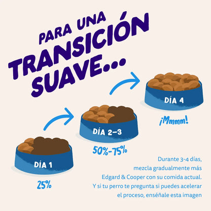 pienso perro omega 3 piel pelo salmon