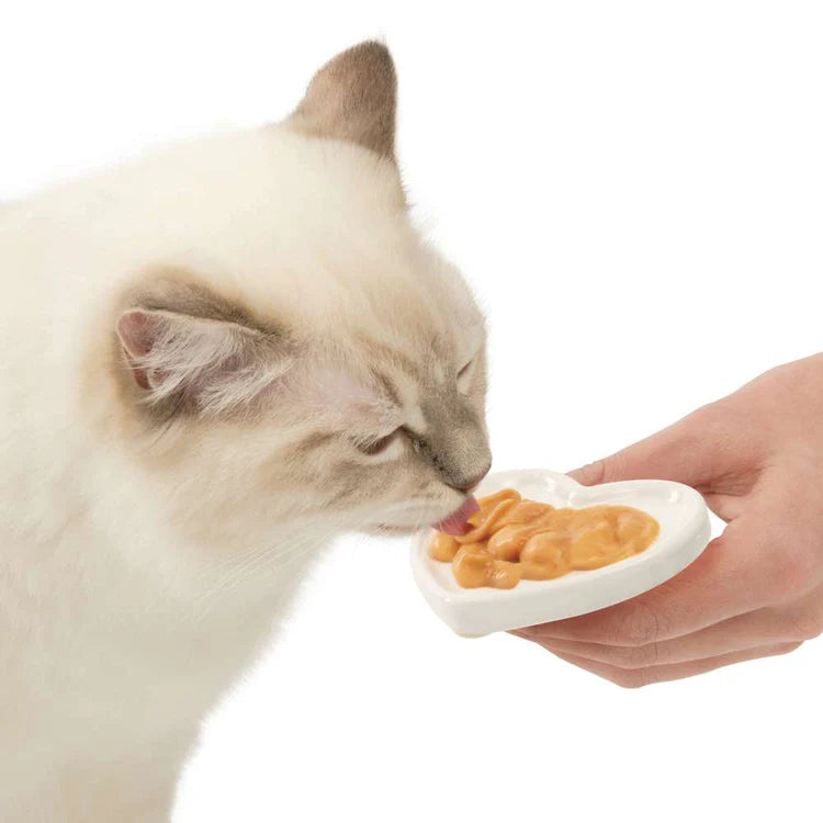 plato para gatos con asa para dar premios