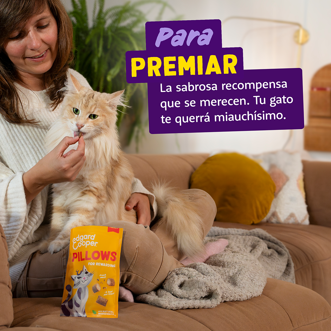 premios gatos baja calorias