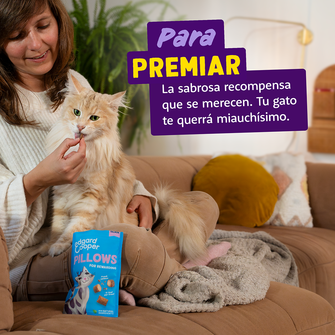premios gatos baja calorias salmon