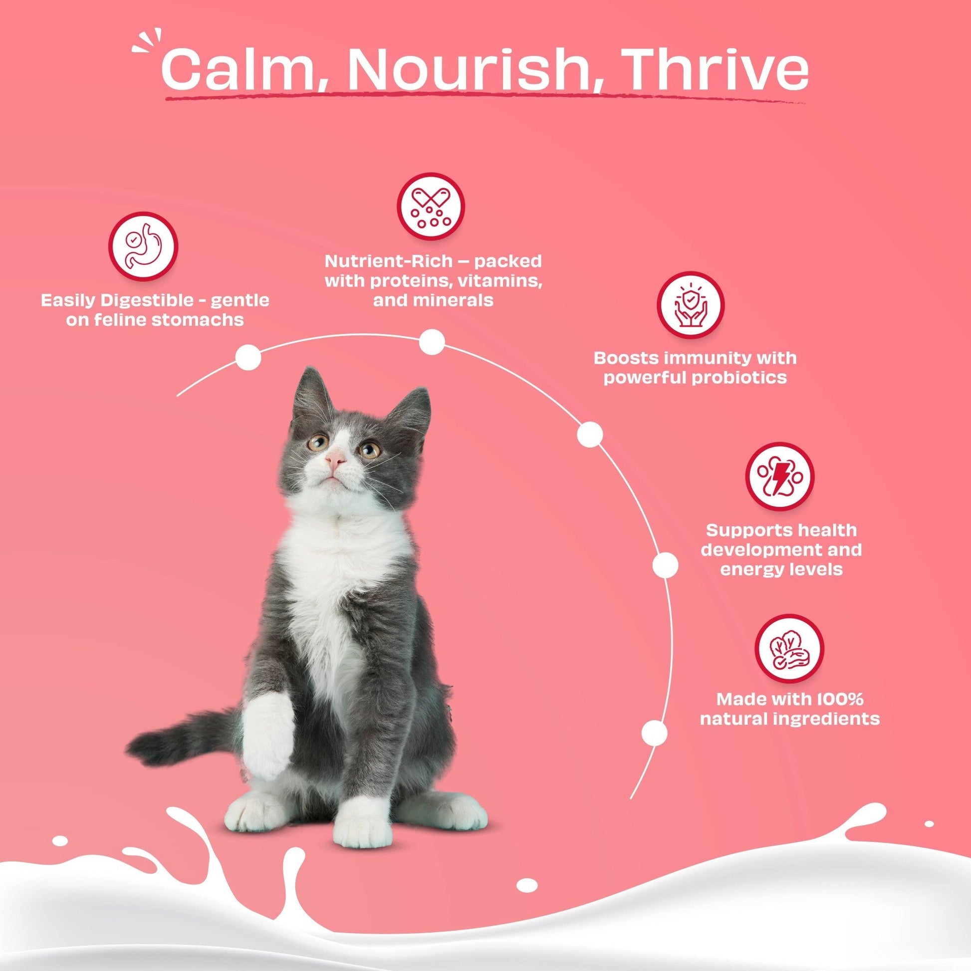 probioticos gatos intestino cerebro equilibrio