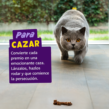 rollitos proteicos gato salmon primer plano