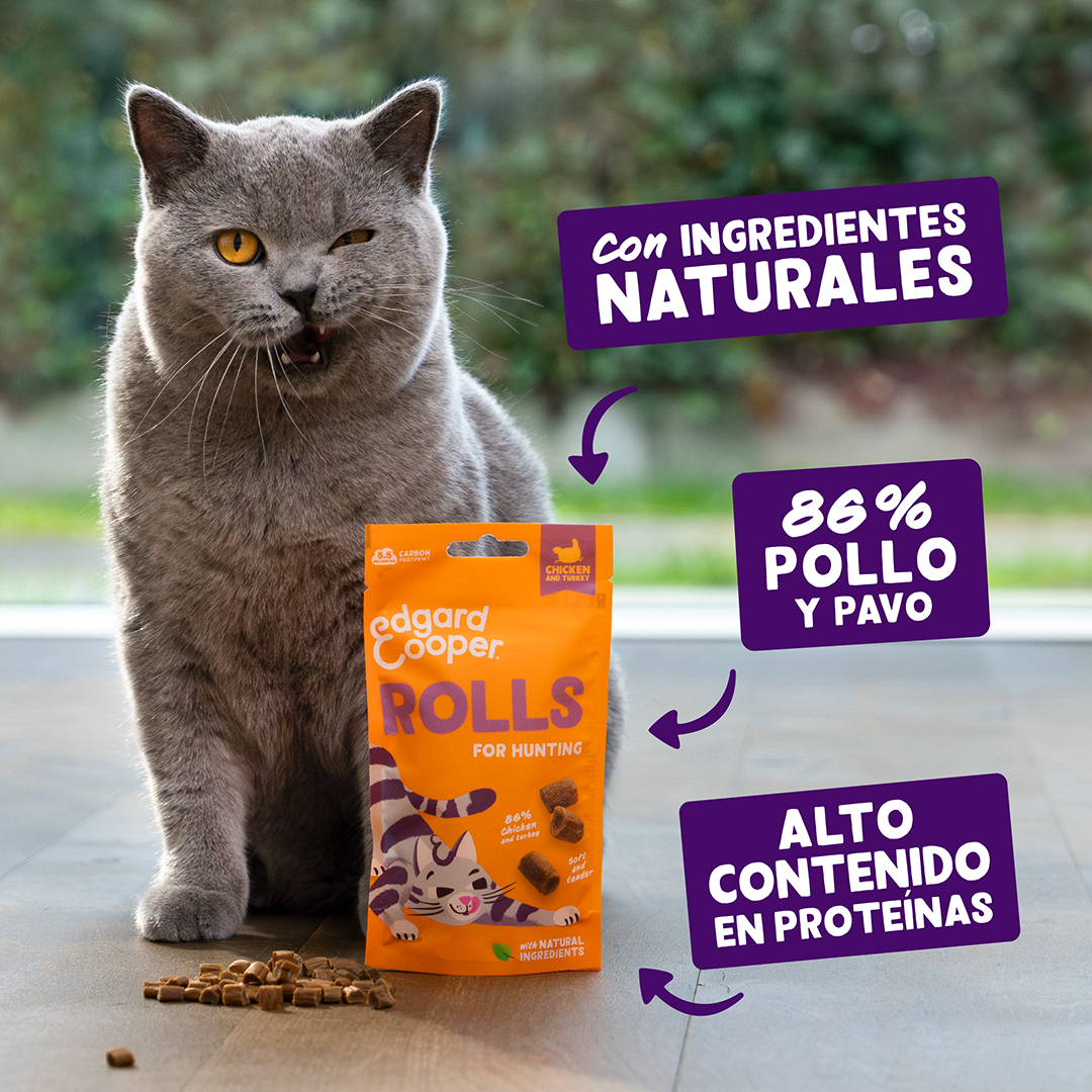 rollitos proteicos para gatos primer plano