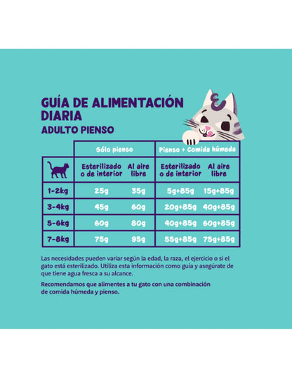 saco comida gato ingredientes naturales salmon frontal