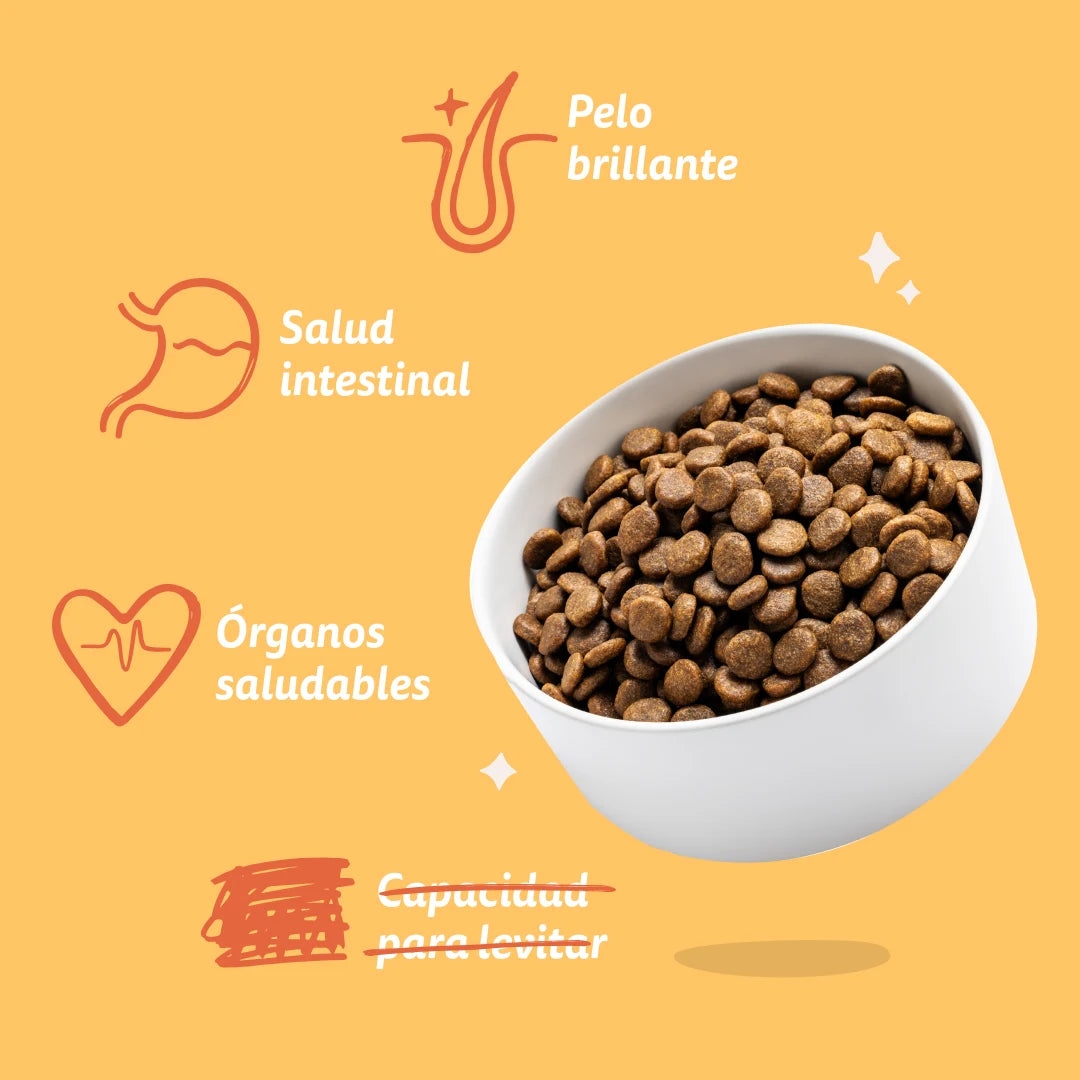 saco comida perro con frutas y pollo natural