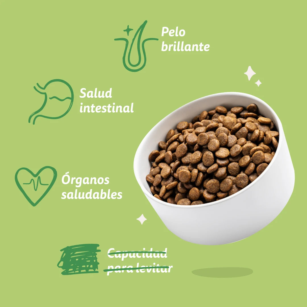 saco comida perro digestiva cordero ingredientes naturales