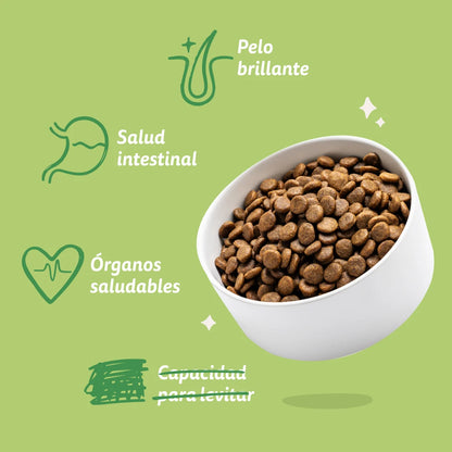 saco comida perro digestiva cordero ingredientes naturales