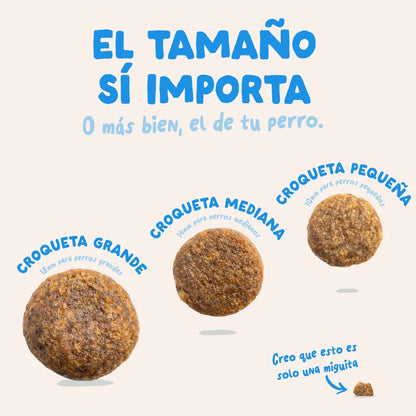 saco comida perro digestiva salmon sin cereales