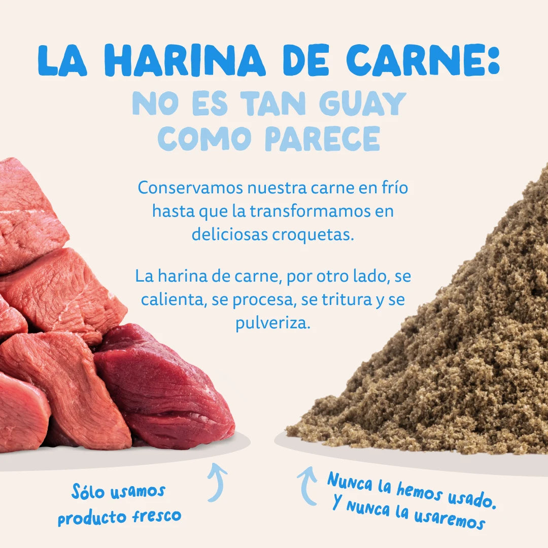 saco pienso perro con col rizada y calabaza