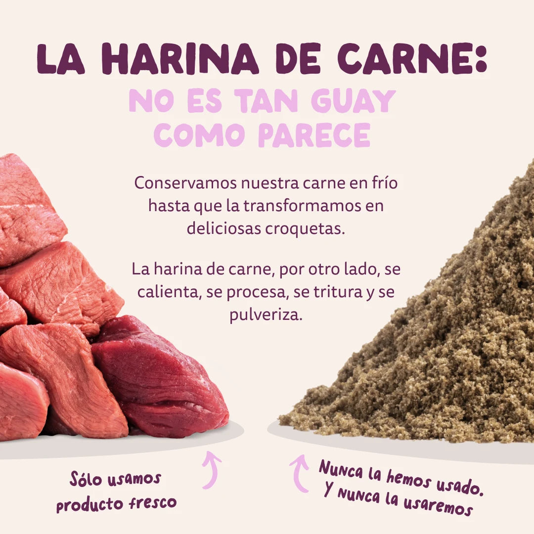 saco pienso perro con frutas y botánicos naturales