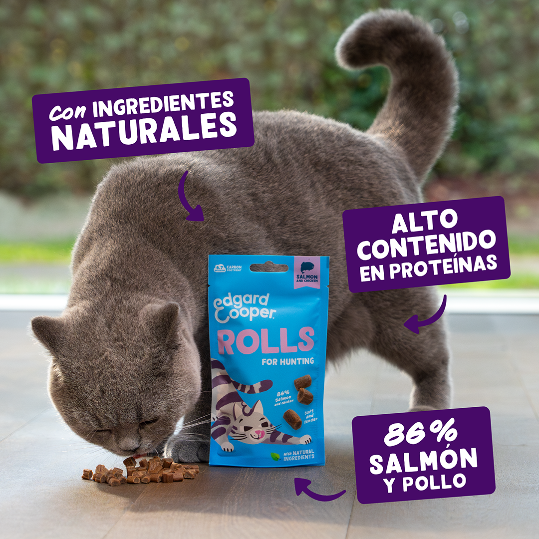 snack gato alto en carne con salmon detalle