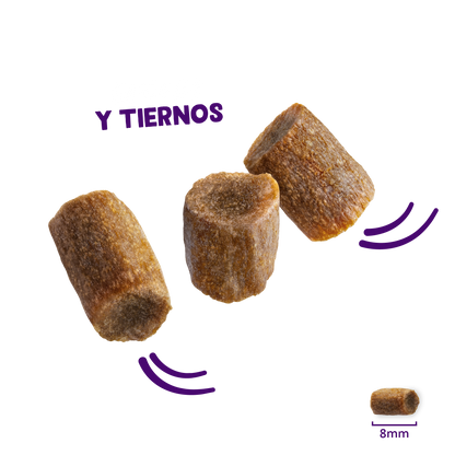 snack gato rollitos carne salmon pollo textura
