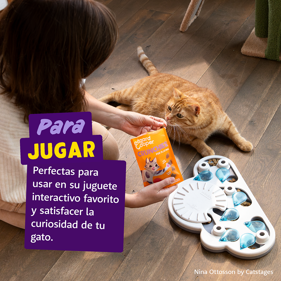 snack gatos enriquecimiento ambiental pollo