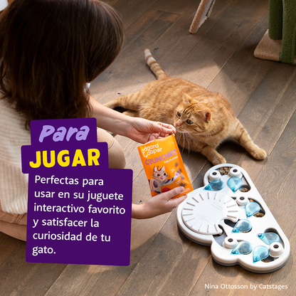 snack gatos enriquecimiento ambiental pollo