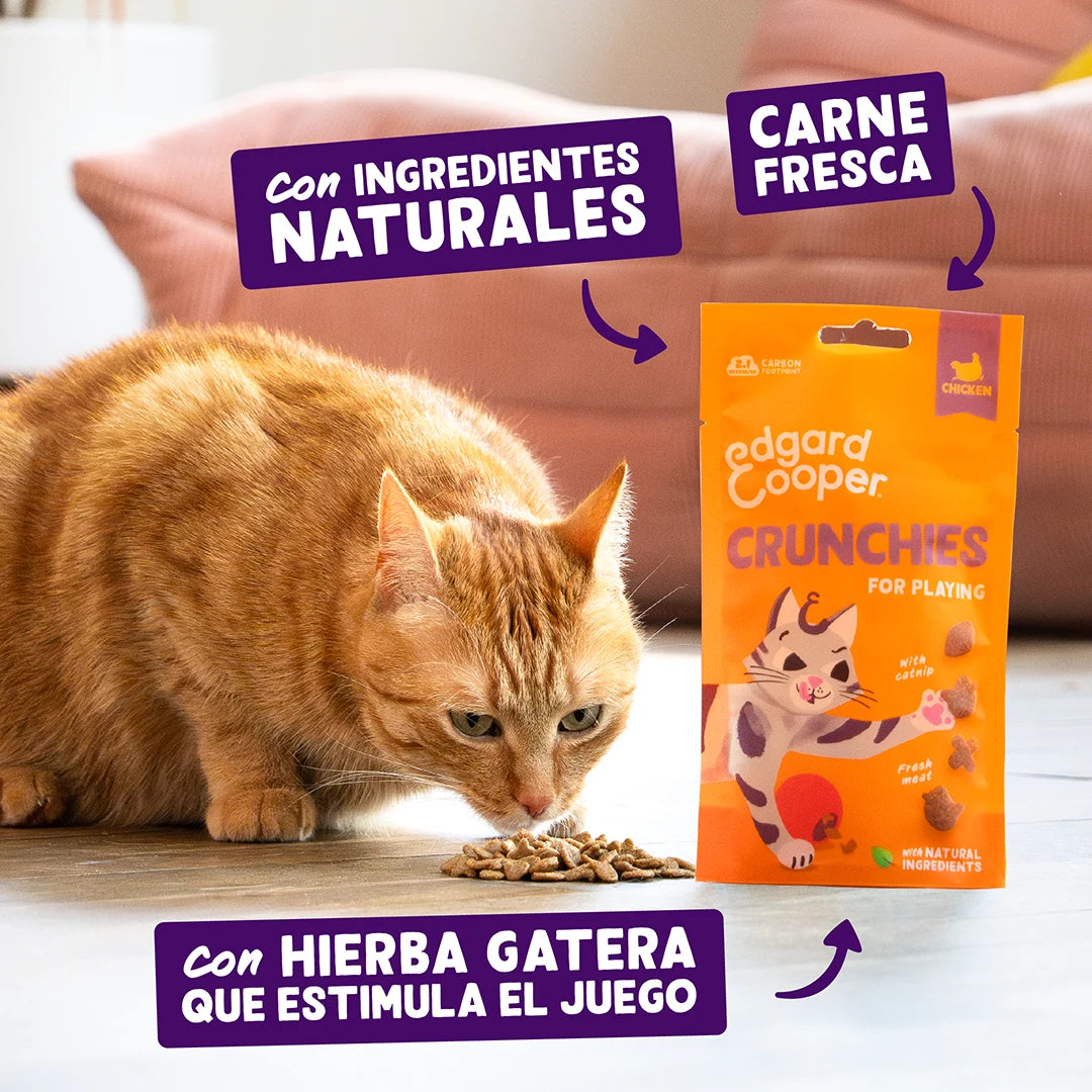 snack gatos enriquecimiento ambiental pollo