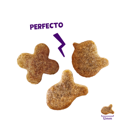 snacks gatos con catnip sabor salmon crujientes