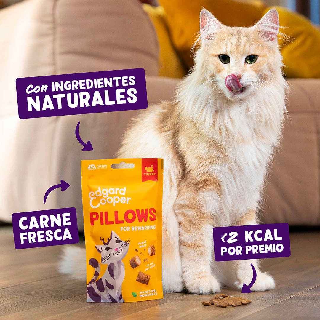 snacks naturales gatos pavo