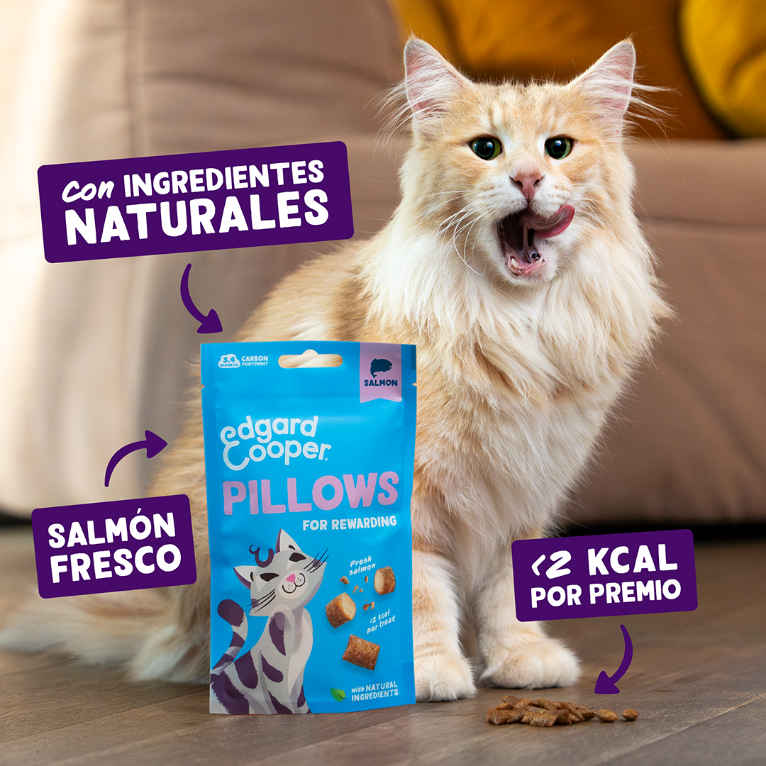 snacks naturales gatos salmon