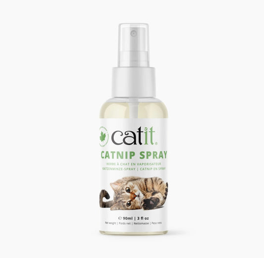 spray de catnip para gatos extracto puro