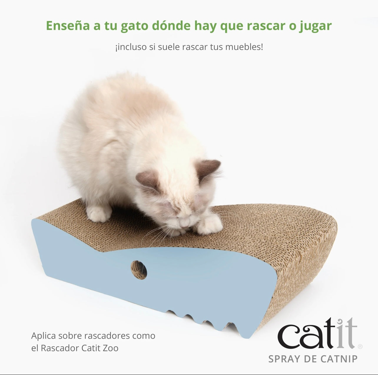 spray hierba gatera para gatos juguetes