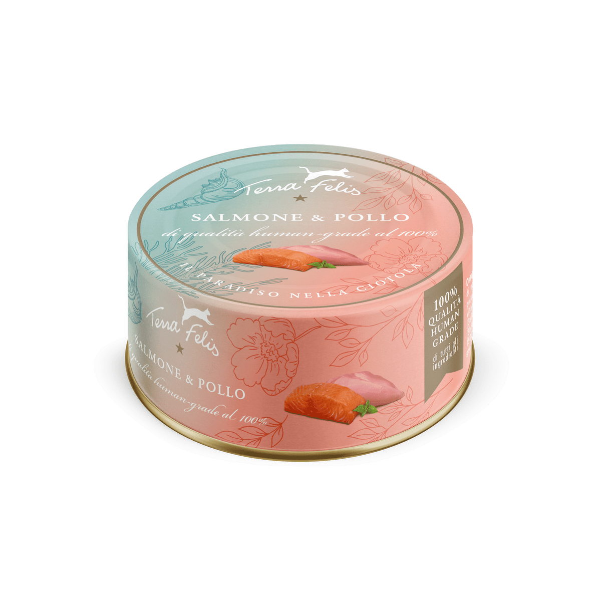 Terra Felis Famousse salmón y pollo de 80 g