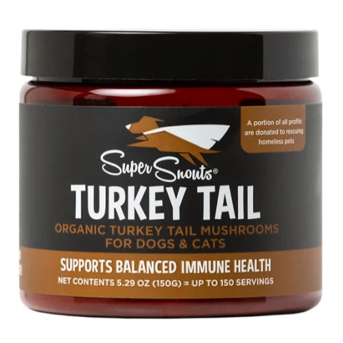 Firm Up! | Turkey Tail – Hongo inmunomodulador y antivírico 75g