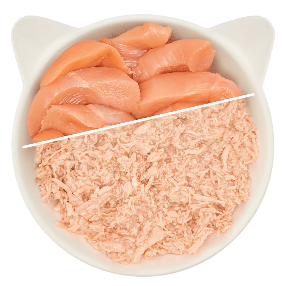 Wow | Cat Filetes de pollo (70g)